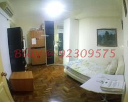 The Tanamera (D16), Condominium #96348182